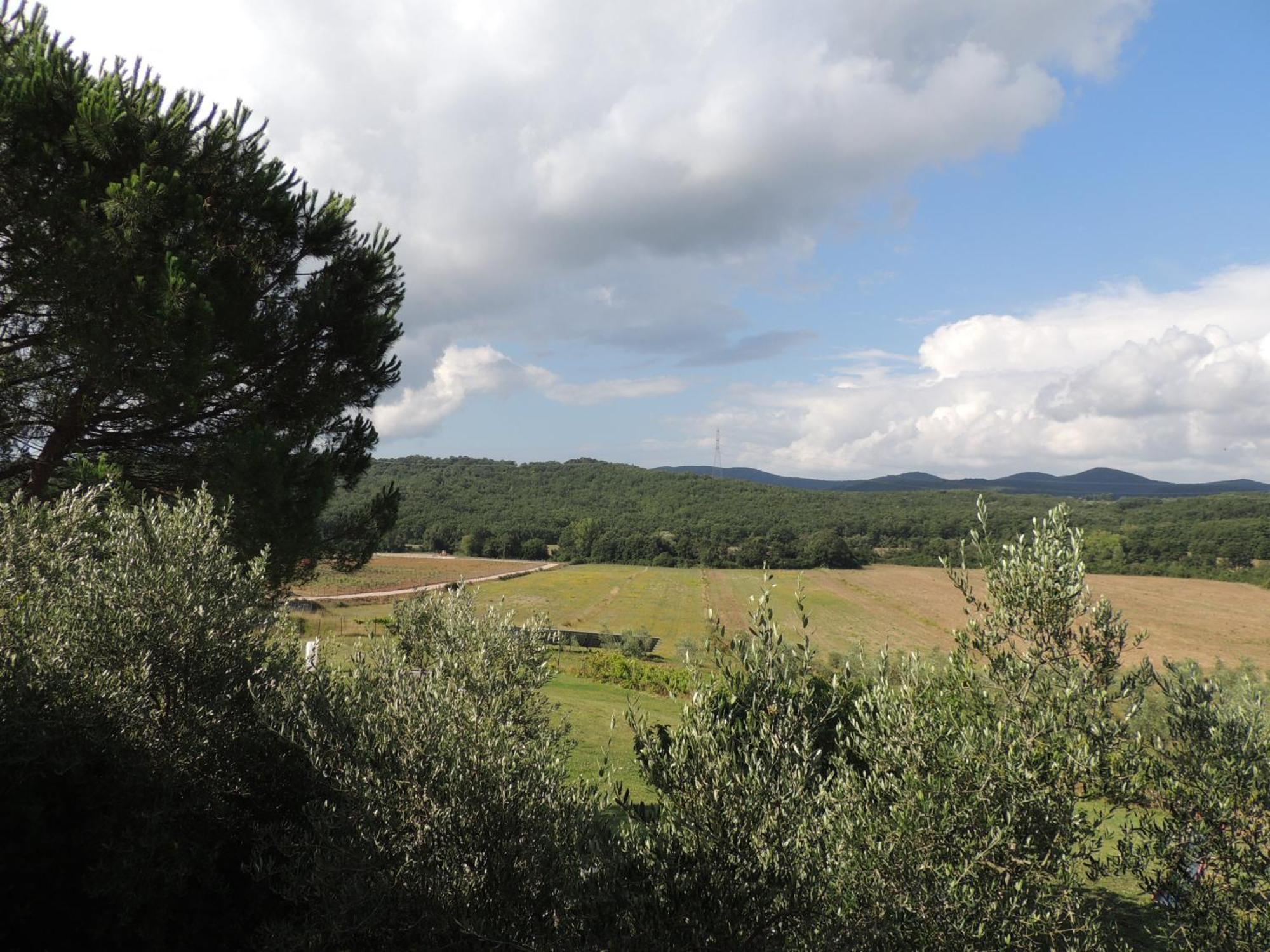 Agriturismo Podere Borgognano Massa Marittima Rum bild