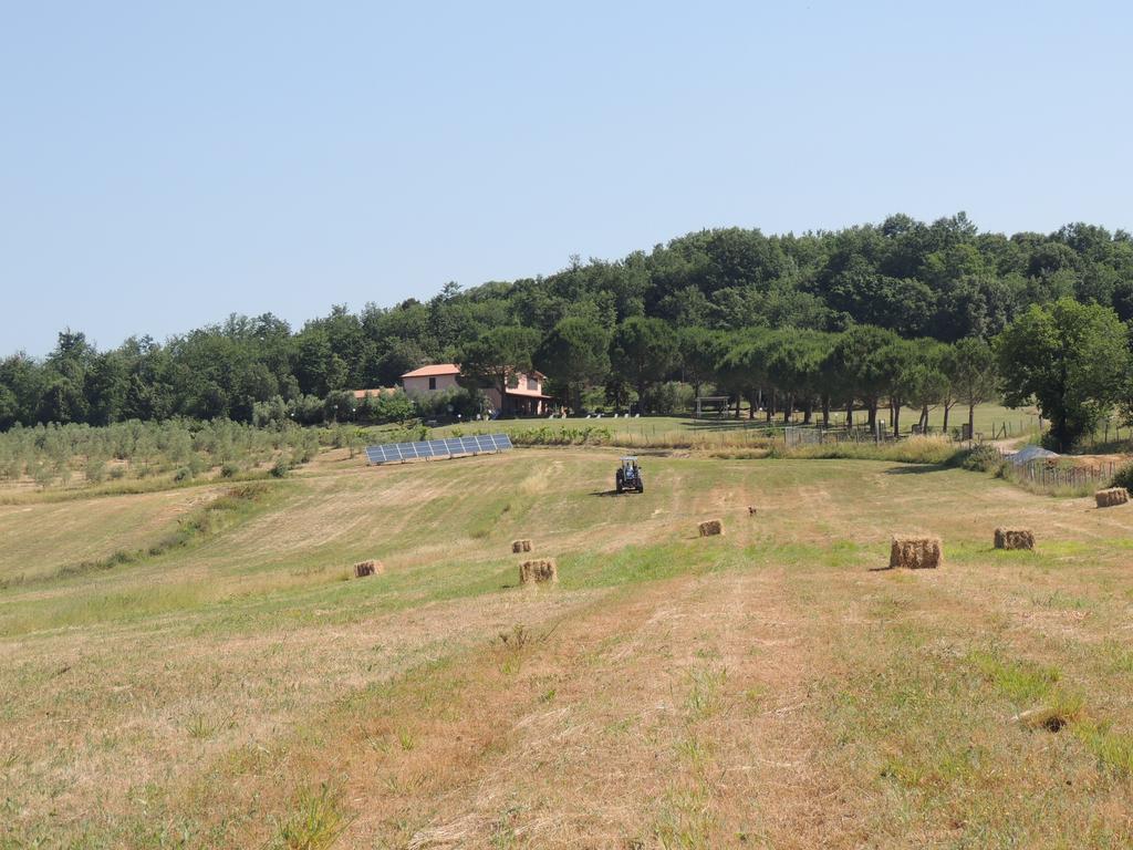 Agriturismo Podere Borgognano Massa Marittima Exteriör bild