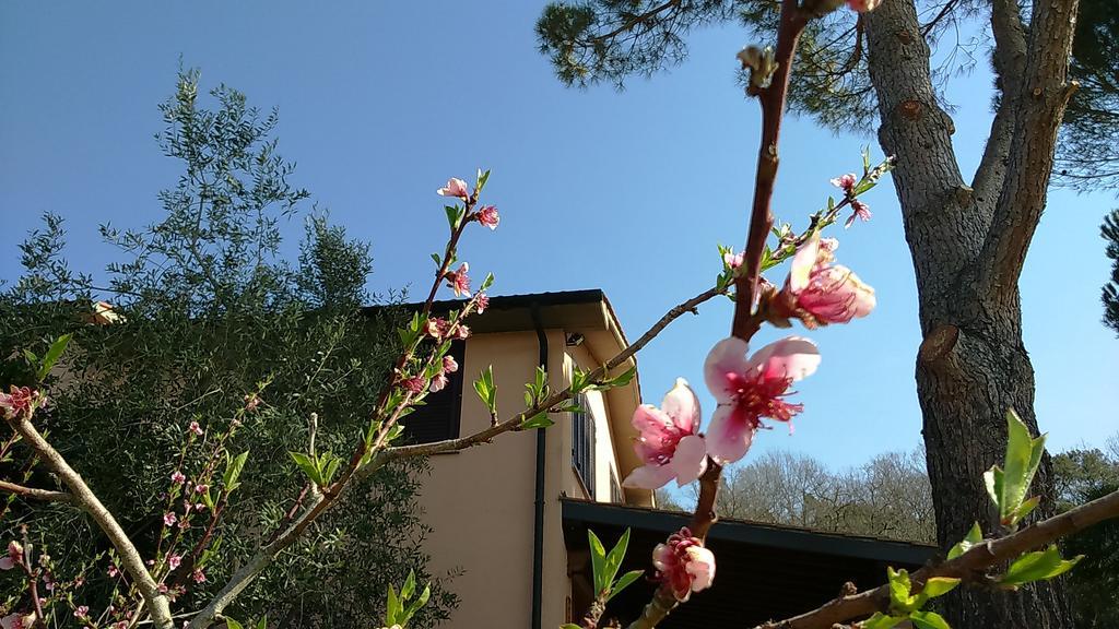 Agriturismo Podere Borgognano Massa Marittima Exteriör bild