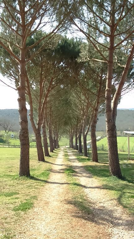 Agriturismo Podere Borgognano Massa Marittima Exteriör bild