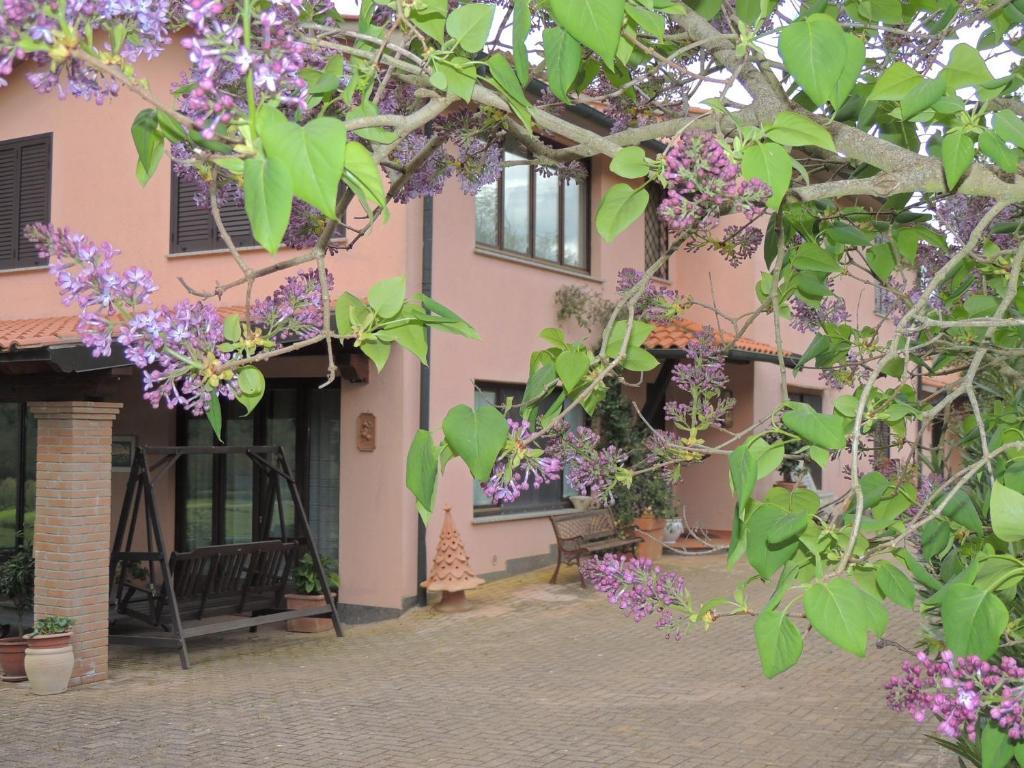 Agriturismo Podere Borgognano Massa Marittima Exteriör bild