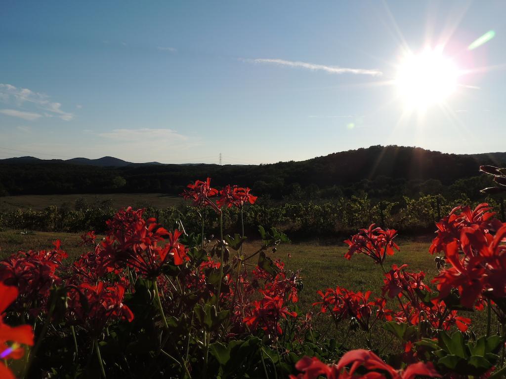 Agriturismo Podere Borgognano Massa Marittima Exteriör bild