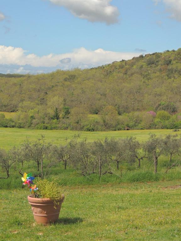 Agriturismo Podere Borgognano Massa Marittima Exteriör bild