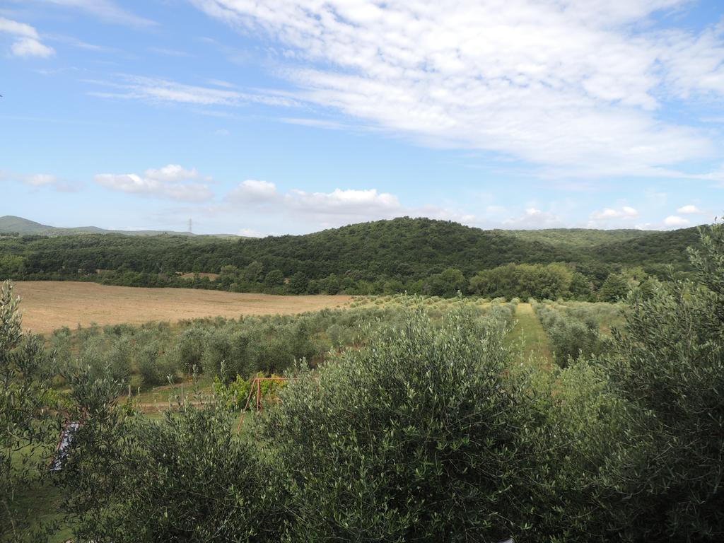 Agriturismo Podere Borgognano Massa Marittima Rum bild